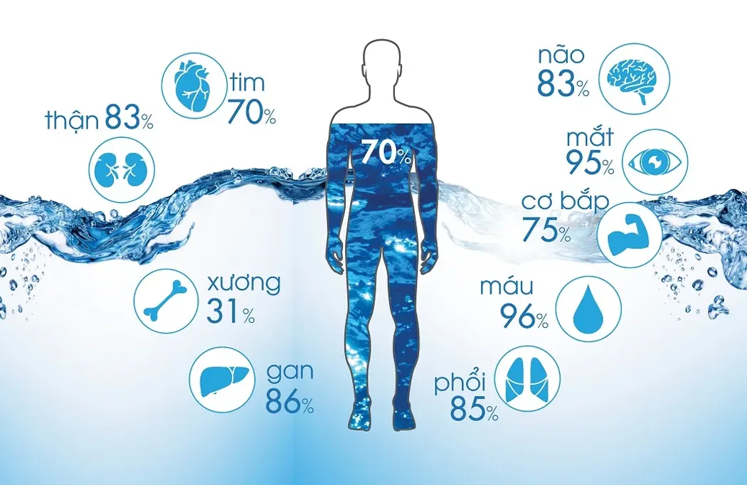 1 ngày uống bao nhiêu lít nước là đủ 